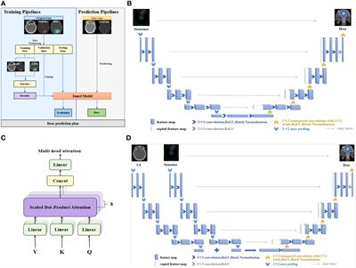 Deep-learning-driven dose prediction and verification for stereotactic radiosurgical treatment of isolated brain metastases